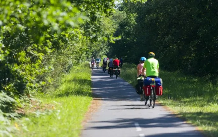 Pistes cyclables à travers la forêt